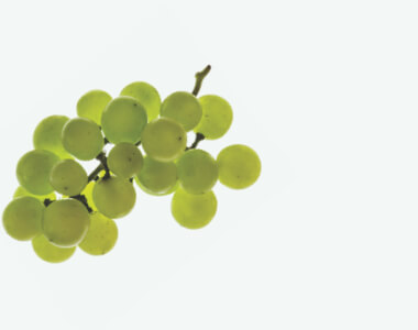 Chardonnay Grape Seed